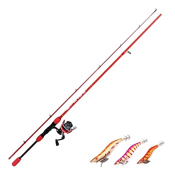 AXE 226MLスピニングロッドとRadian 1000RXリールセット Amazon | ルナヒサノ リール セット竿 エギ竿セット(リール+エギ3ヶ付